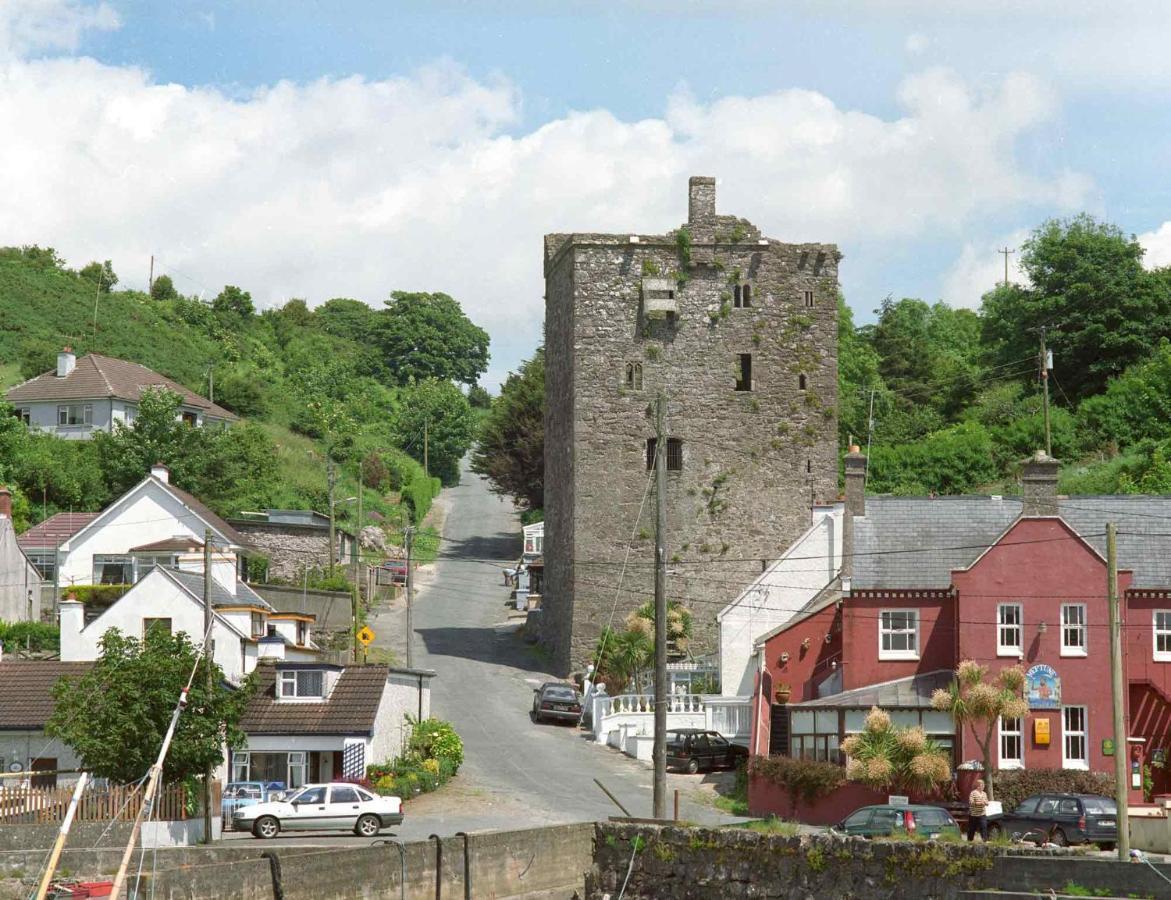 Ballyhack By The Sea Arthurstown Eksteriør bilde
